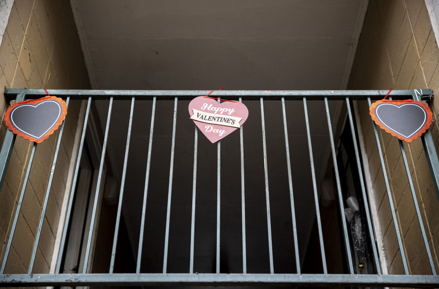 Valentine's day.JPG
